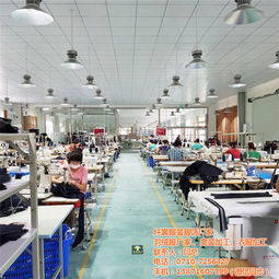 定制女士西裝 天門女士西裝 纖裳服飾 查看