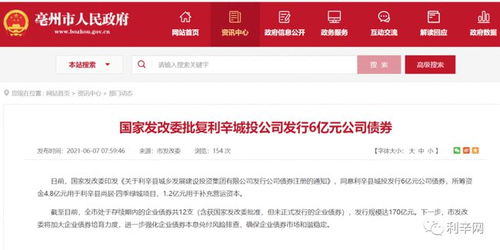 利辛城投公司發行6億元公司債券